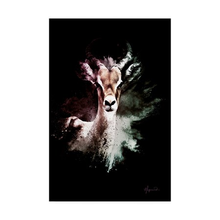 Philippe Hugonnard 'Wild Explosion Collection - The Antelope' Canvas Art,22x32